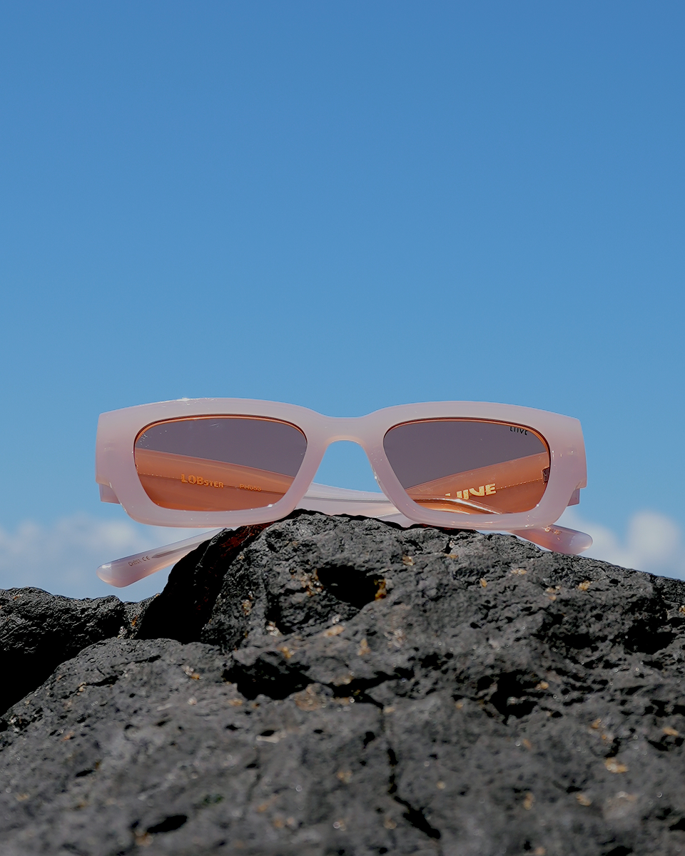 Polarised Sunglasses