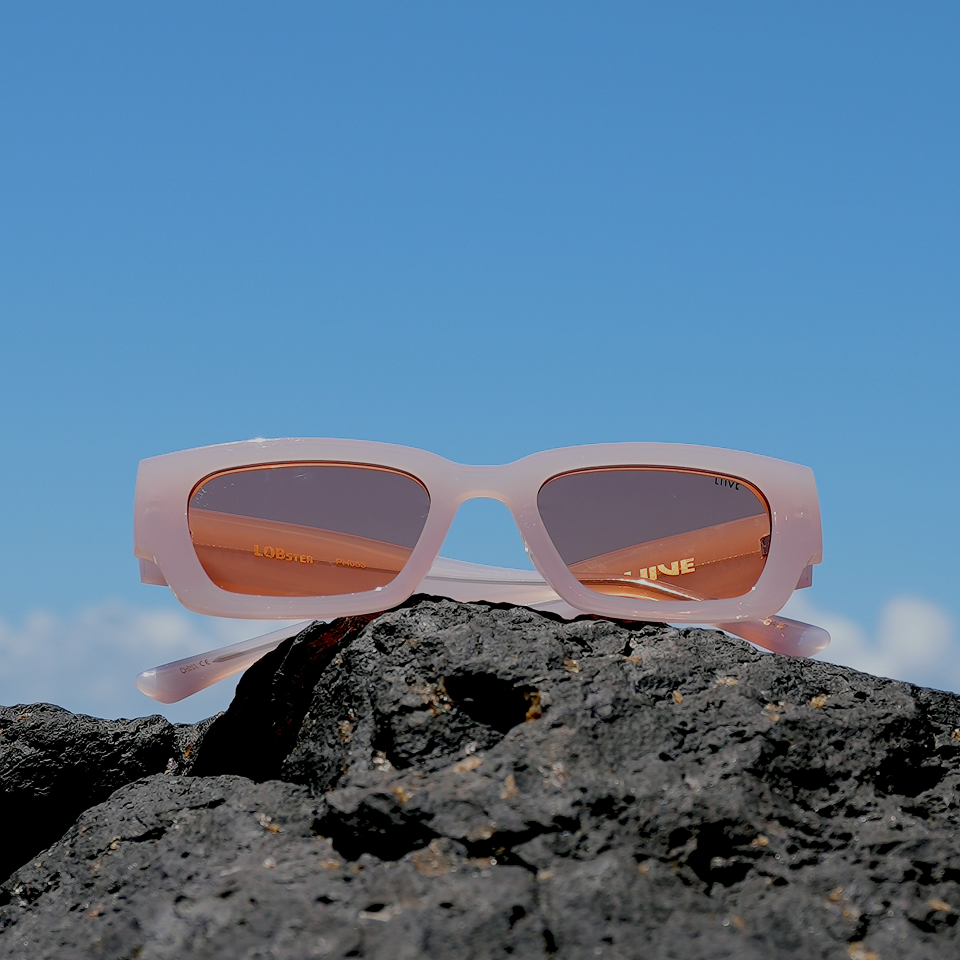 Polarised Sunglasses